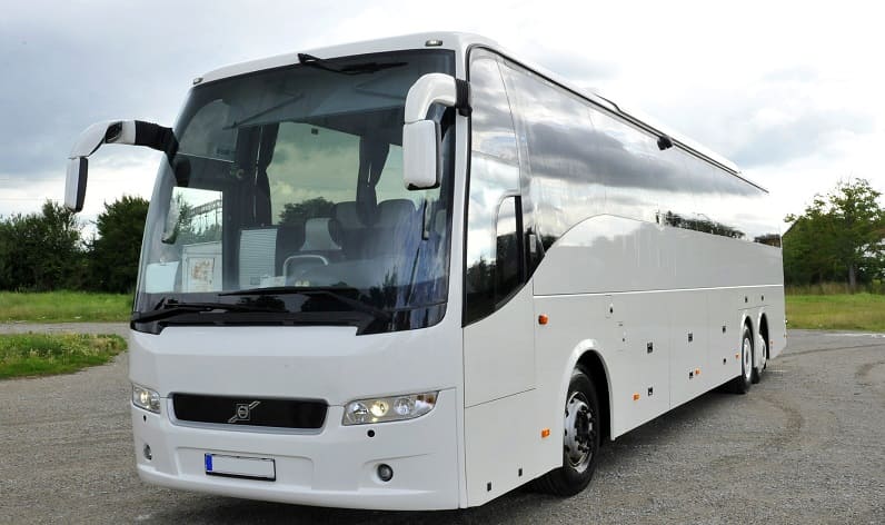 Nitra Region: Buses agency in Levice in Levice and Slovakia