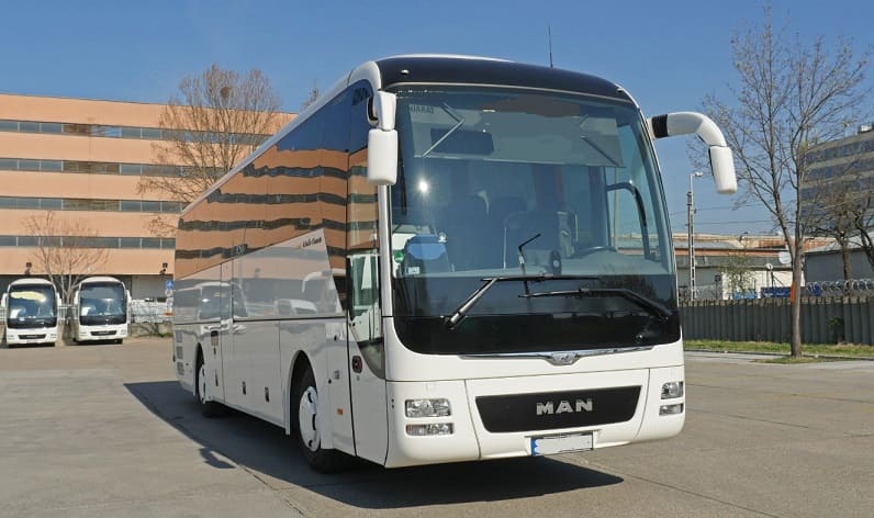 Pest: Buses operator in Göd in Göd and Hungary